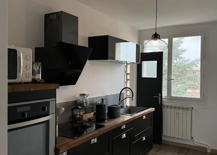 公寓 Lumineux En Centre *